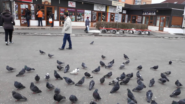 Opinii despre Piața Tractorul în Brașov - Gastronomie și ospitalitate