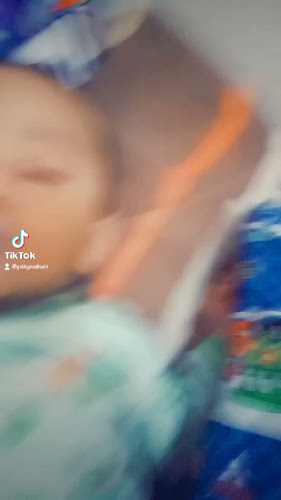 Pensiune-restaurant Székely - Gastronomie și ospitalitate