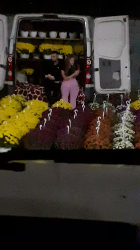 Târgul Pucheni - Gastronomie și ospitalitate