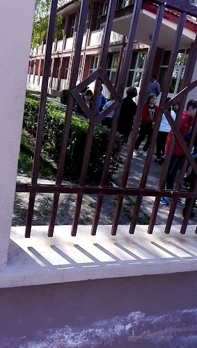 Opinii despre Venezia în Târgu Neamț - Gastronomie și ospitalitate