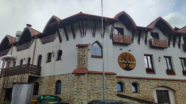 Hanul Teilor - Dănești