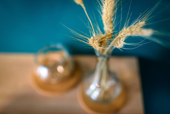 Comentarii opinii despre VATRA CALDA (Aradul Nou)