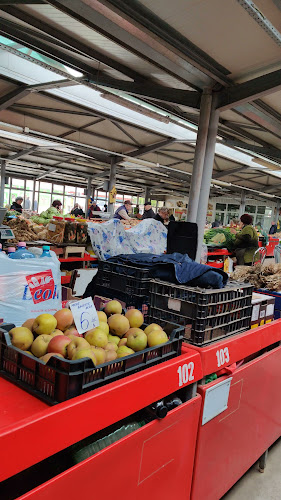 Piața Viilor - Botoșani