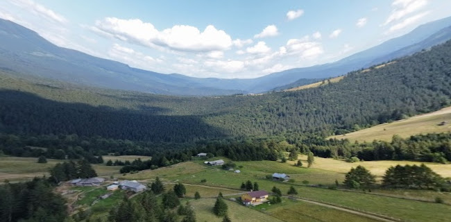 Flip Kebab - Gastronomie și ospitalitate