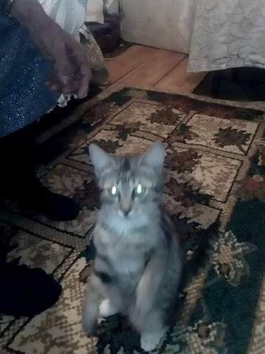 Opinii despre Târg în Drobeta-Turnu Severin - Gastronomie și ospitalitate