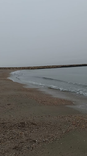 Comentarii opinii despre Zorile