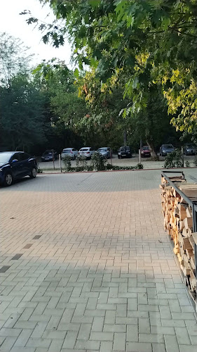 E85, Pufești 627277