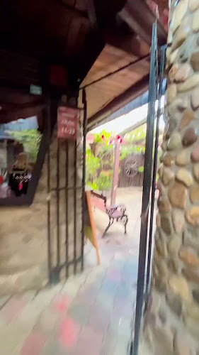 Comentarii opinii despre Restaurant HANOVRA