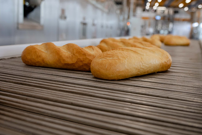 Opinii despre TREI BRUTARI S.A în Târgoviște - Gastronomie și ospitalitate