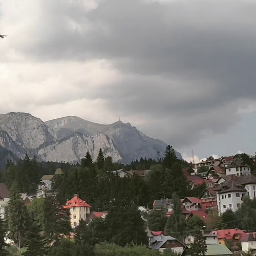 Restaurant Alex - Gastronomie și ospitalitate