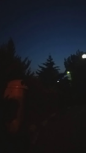 Strada Erou Nicolae Ioniță 36A, Odobești 625300