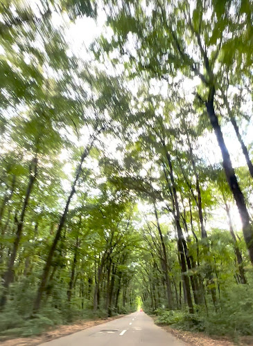 Casa Pustnicu - Brănești