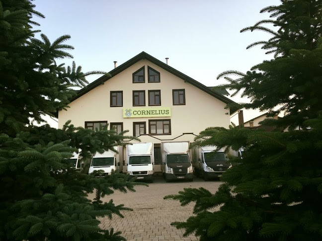 Cornelius SRL - Gastronomie și ospitalitate