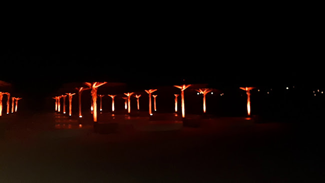 Crazy Beach - Gastronomie și ospitalitate