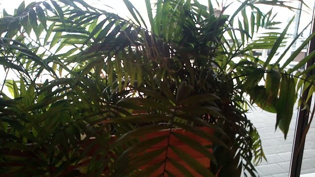 Opinii despre Bella Italia Restaurant - Braila în Brăila - Gastronomie și ospitalitate