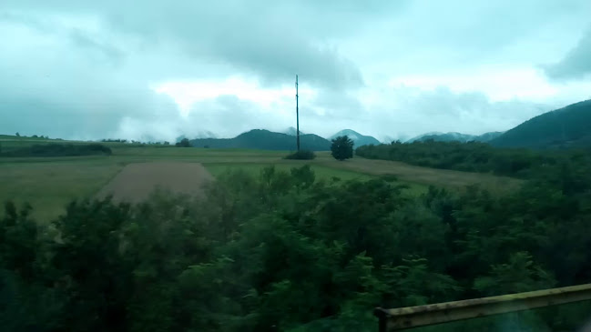 Opinii despre Produse Tradiționale de Carmangerie - I.F. Oancea în Tălmaciu - Gastronomie și ospitalitate