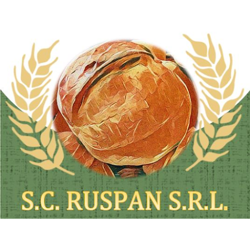 Strada Pompiliu Stefu 20, Buzău 120204