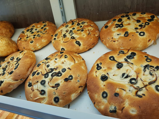 Comentarii opinii despre Carsium Pan