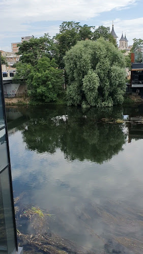 Crinul Alb - Gastronomie și ospitalitate