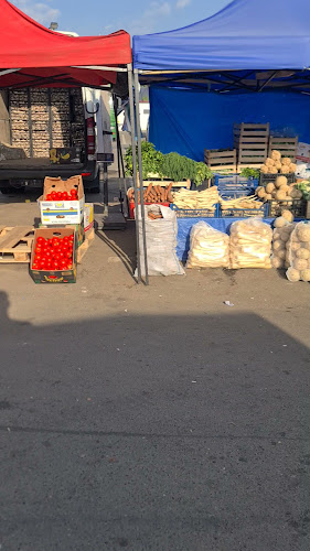Opinii despre Piata En Gross Legume-Fructe în Suceava - Gastronomie și ospitalitate