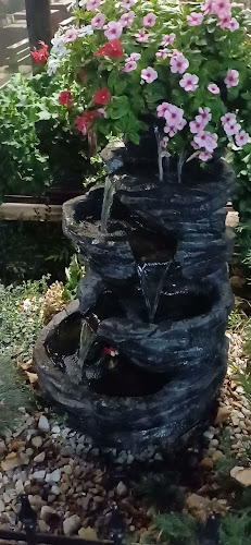 Comentarii opinii despre Pizzeria Domnească