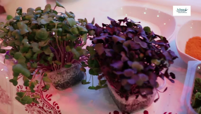 Opinii despre La Liman în Tulcea - Gastronomie și ospitalitate