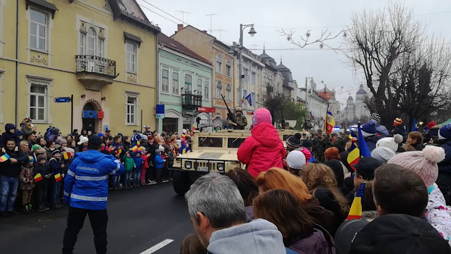 Opinii despre McDonald's în Târgu Mureș - Gastronomie și ospitalitate