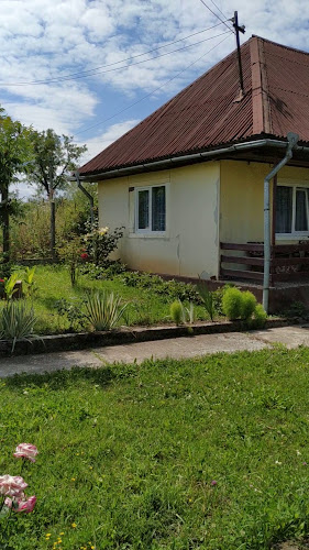 Opinii despre Panifsig în Sarasău - Gastronomie și ospitalitate