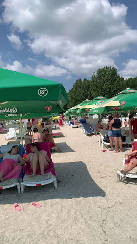 Restaurant MCM - Gastronomie și ospitalitate