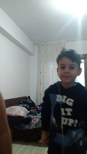 Strada Dimitrie Cantemir 1, Vaslui 730038