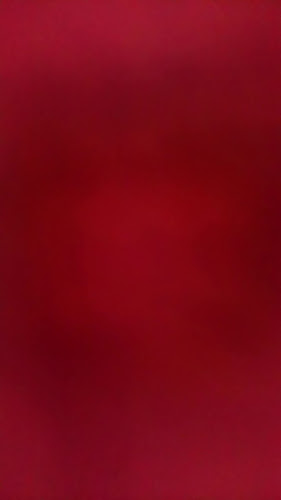 Strada Nicolae Golescu 17, București 010285