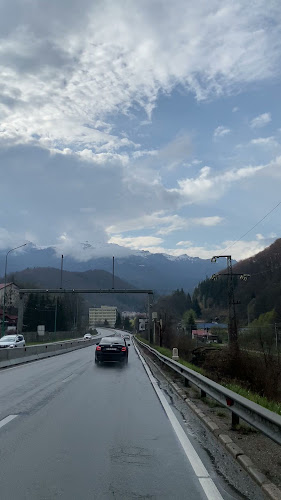 str. movila vulpii, paulesti, prahova, Păulești 107400