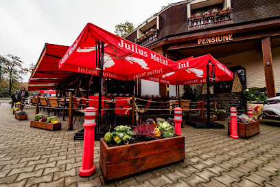 Restaurant Pensiune Lyra | mâncare tradițională, preparate bbq, livrare mures, restaurant mures