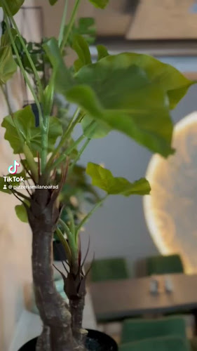 Strada 1 Decembrie 1918, Arad 310134