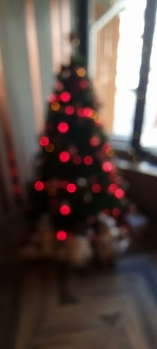 Comentarii opinii despre Bistro Callatis