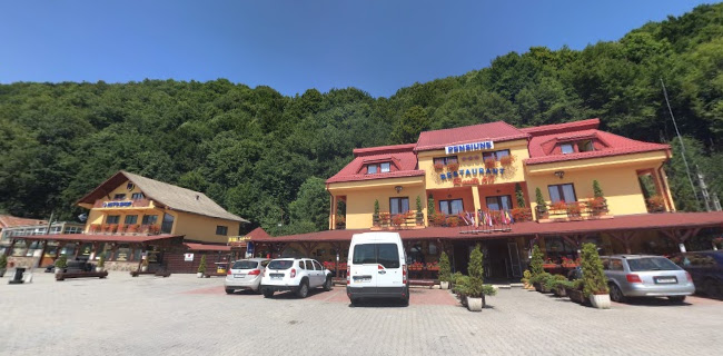 Opinii despre ROUTE 60 Restaurant Pensiune DN1 E60 Ciucea în Ciucea - Gastronomie și ospitalitate