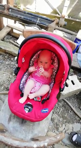 Restaurantul Bucatarul Meserias