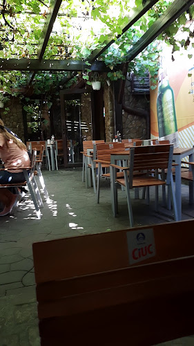 Opinii despre Pizzeria Alila în Iași - Gastronomie și ospitalitate