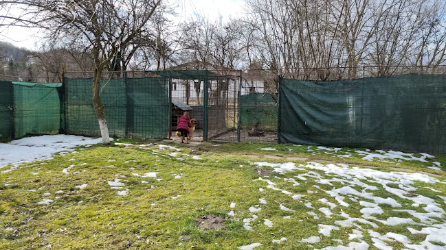 Raza de Soare - Breaza de Jos