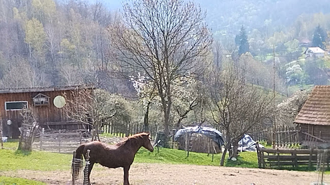 Transilvania Events - Hunedoara