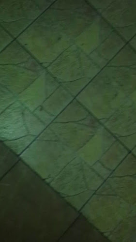 Comentarii opinii despre Casa PaPa Cip