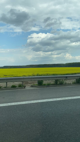 str. movila vulpii, paulesti, prahova, Păulești 107400