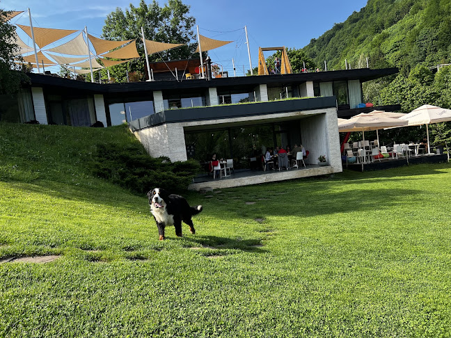 Comentarii opinii despre Atra Doftana