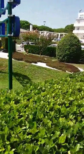 Piața Smârdan - Pitești