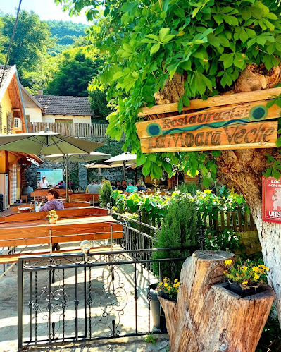 Opinii despre Pensiune si Restaurant 'La Vechea Moara' în Sasca Montană - Gastronomie și ospitalitate