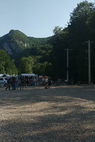 Opinii despre RESTAURANT TRADIȚIONAL BIGĂR în Valea Minișului - Gastronomie și ospitalitate