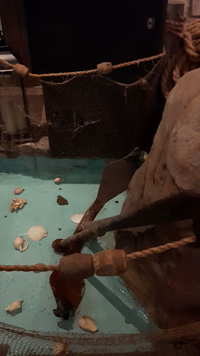 Paradisul Piraților - Gastronomie și ospitalitate