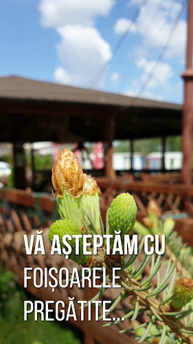 Opinii despre Restaurant "Donaris" Brăila în Vărsătura - Gastronomie și ospitalitate