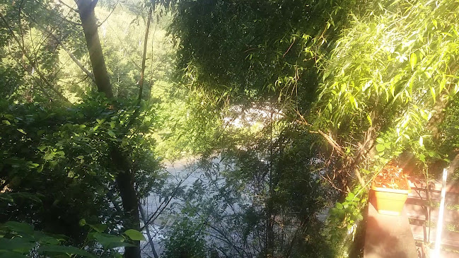 Popasul Turistic Vişina - Gastronomie și ospitalitate