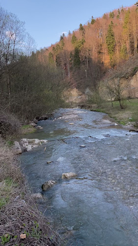 Opinii despre Lido Gîrbea în Păulești - Gastronomie și ospitalitate